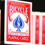 Professional Bike Banner